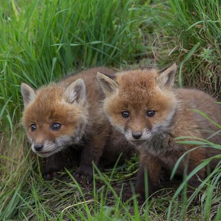 Landhotel Jagdschloss Windelsbach エクステリア 写真