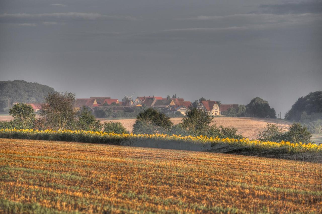Landhotel Jagdschloss Windelsbach エクステリア 写真